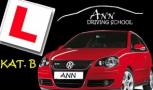 Ann-driving shool